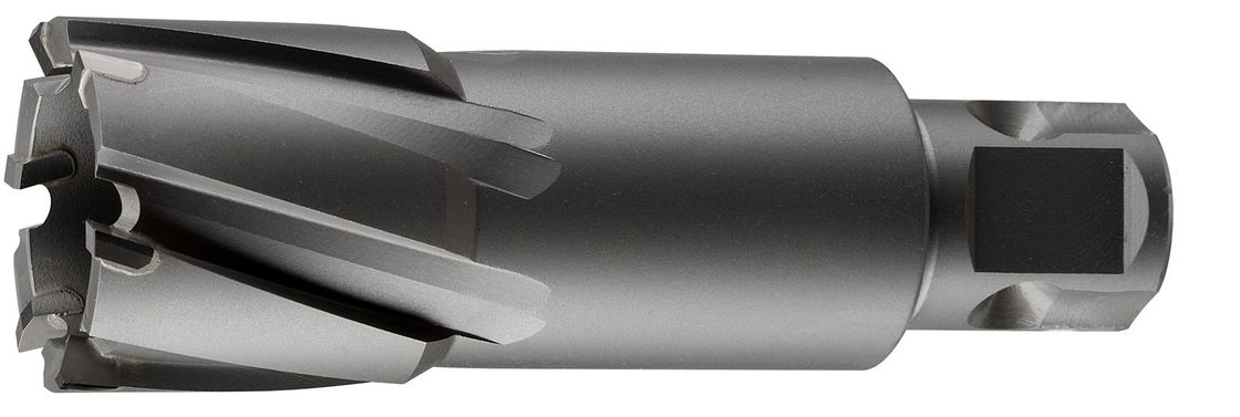 Τρυπάνι Καρδιάς TCT 12-60mm Weldon Shank για Σιδηροδρομικές Γραμμές